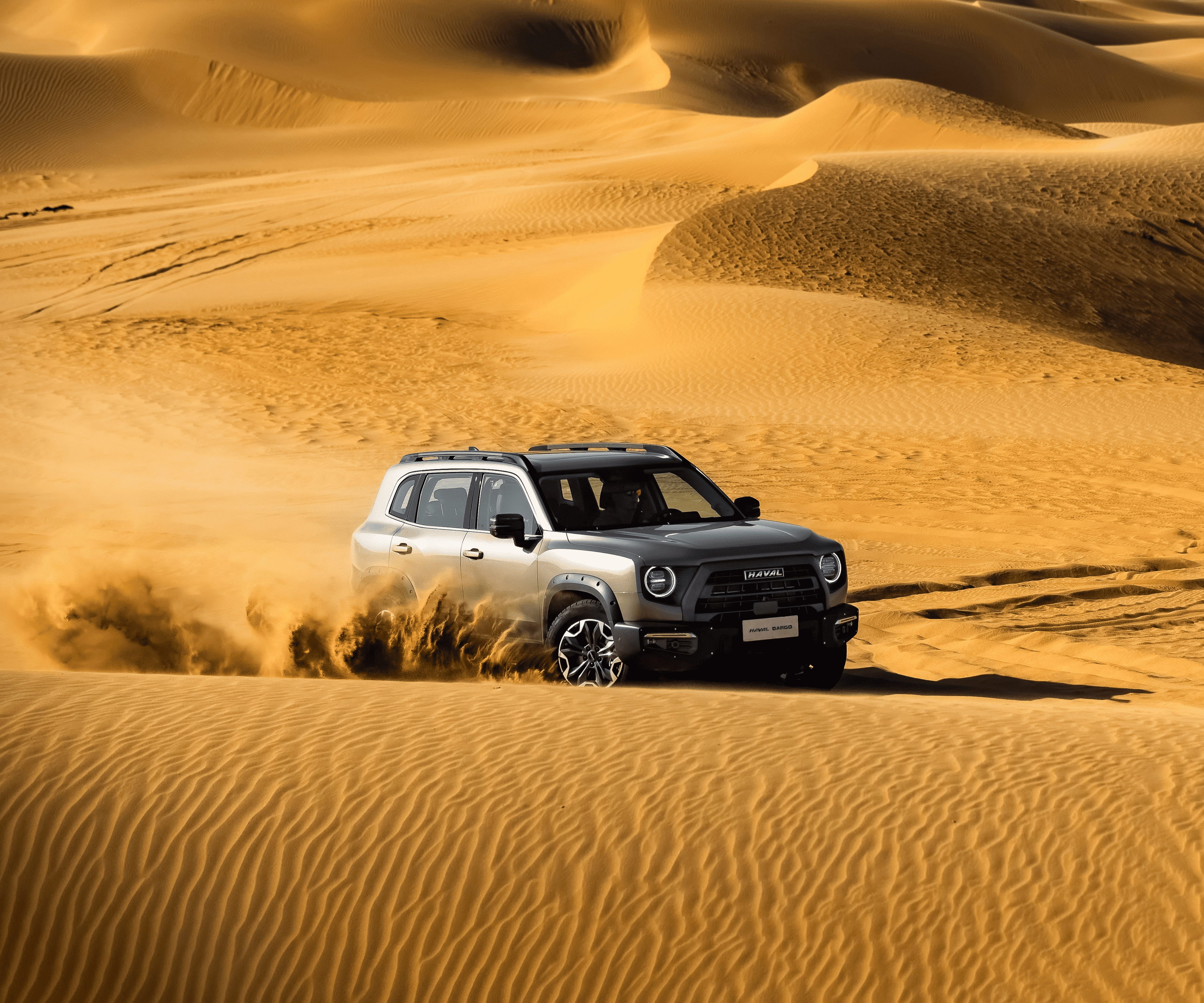 Evolución de la Estrategia DXP+